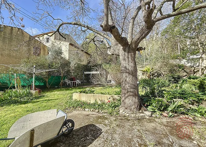 Apartment T2 Avec Terrasse Sud, Parking, Wifi, Animaux Acceptes - Proche Thermes Et Centre - Fr-1-451-192 Lamalou-les-Bains